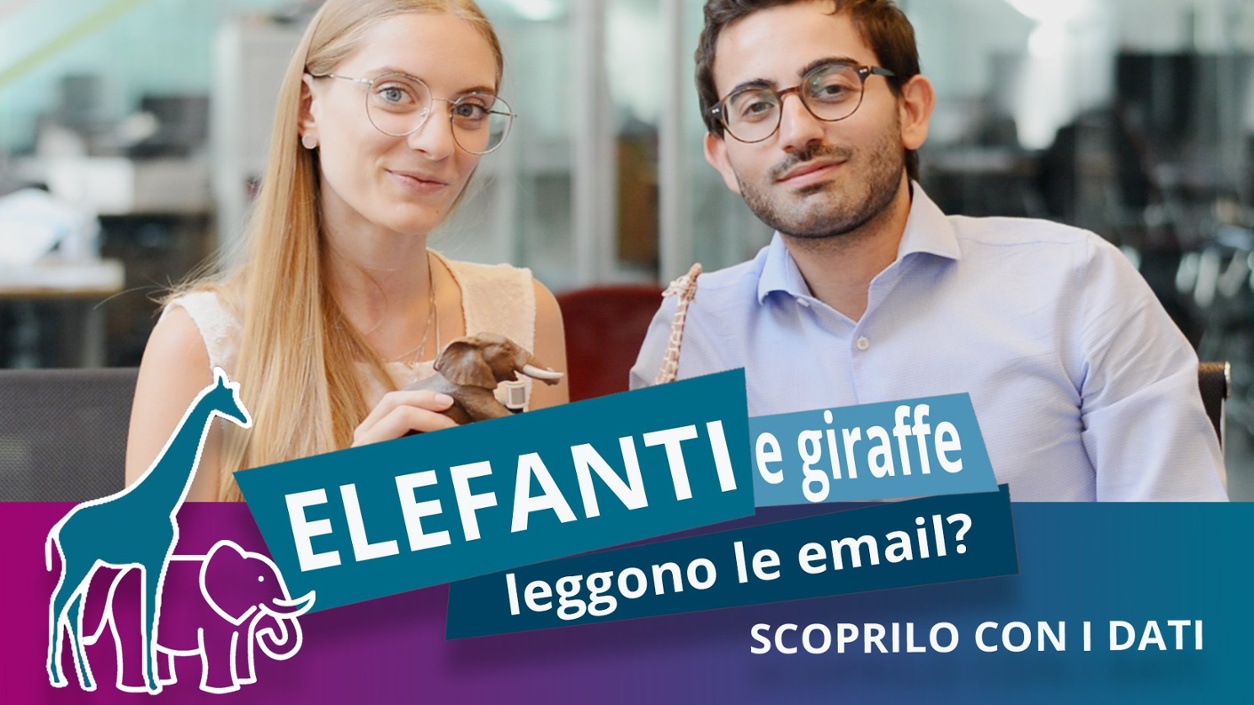 Elefanti e giraffe leggono le email? Scoprilo con i dati