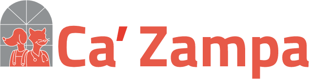 cazampa_logo 