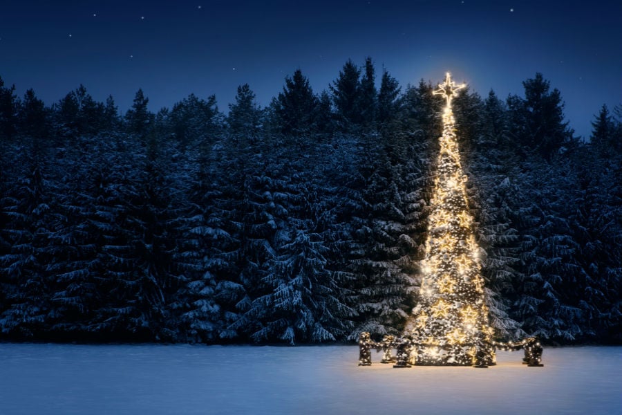 Miracolo di Natale: esempio di viralità da WestJet